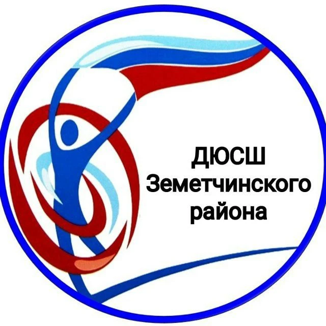 МАОУ ДО ДЮСШ Земетчинского района
