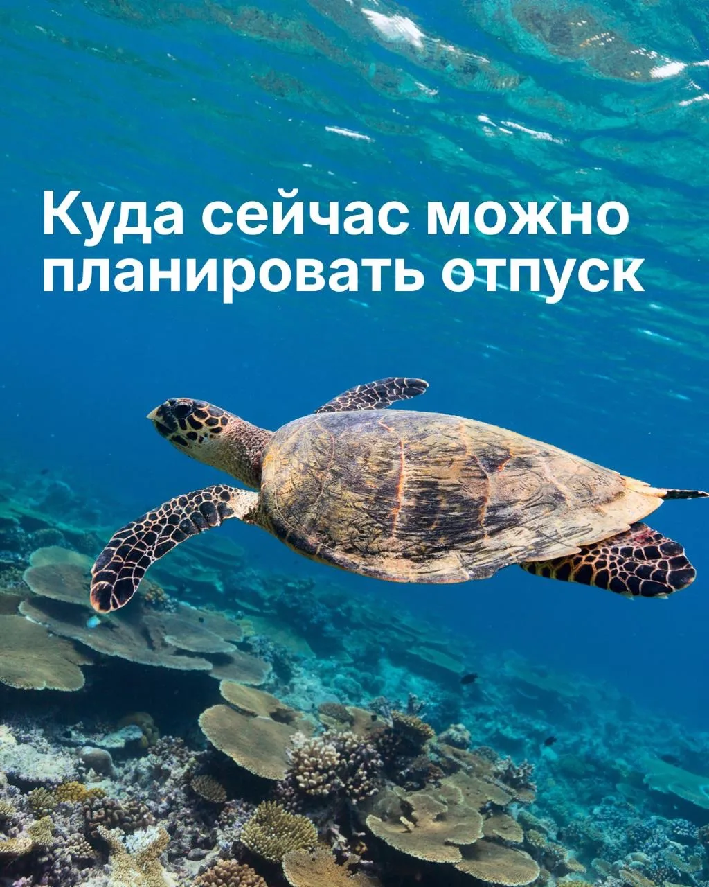 Логотип канала