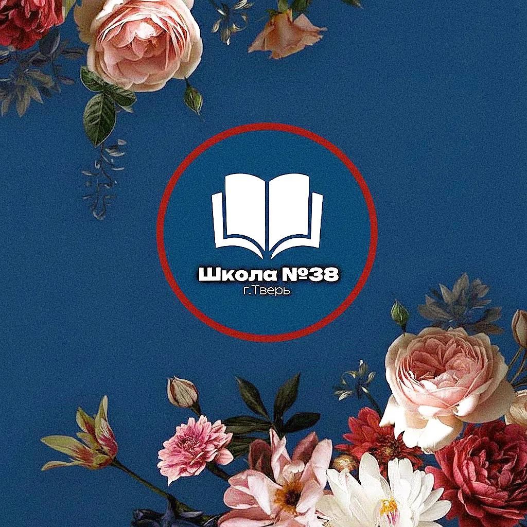 МОУ СОШ №38