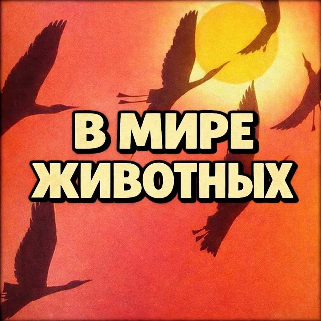 Логотип канала