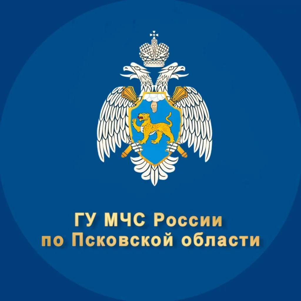 МЧС Псковской области