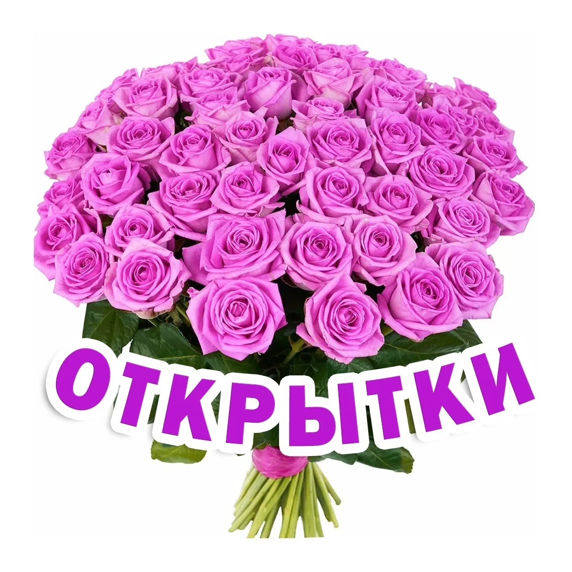 Открытки Поздравления Пожелания