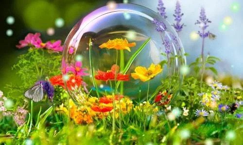 ГБДОУ детский сад №27 Калининского района Санкт-Петербурга