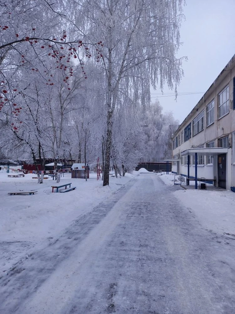 МБДОУ детский сад 17 г. Пензы