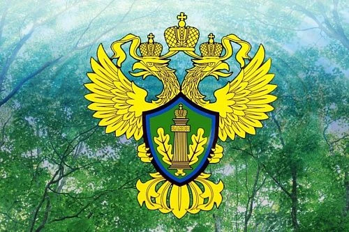 Росприроднадзор по Нижегородской области и Республике Мордовия — канал в мессенджере MAX
