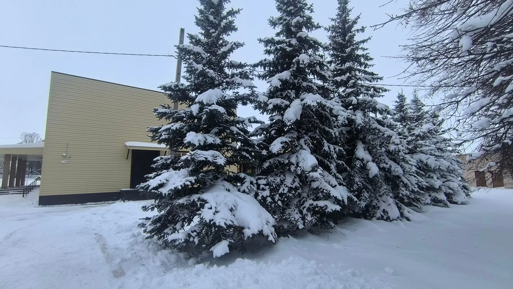 МБОУ "Лешев-Тамакская ООШ"