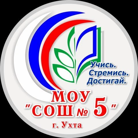 МОУ "СОШ №5 им. И.П. Разманова"