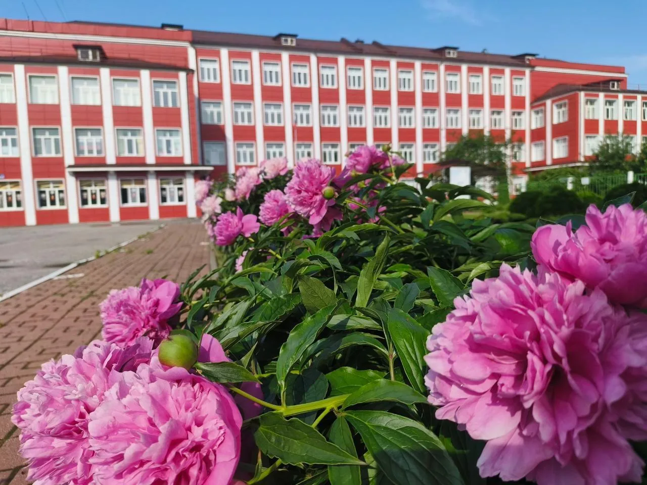 Школа № 5, Орехово-Зуевский городской округ