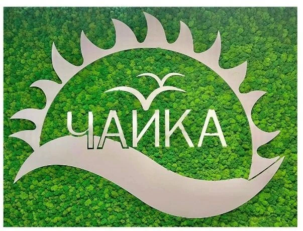 Загородный оздоровительный лагерь "Чайка" Тетюши