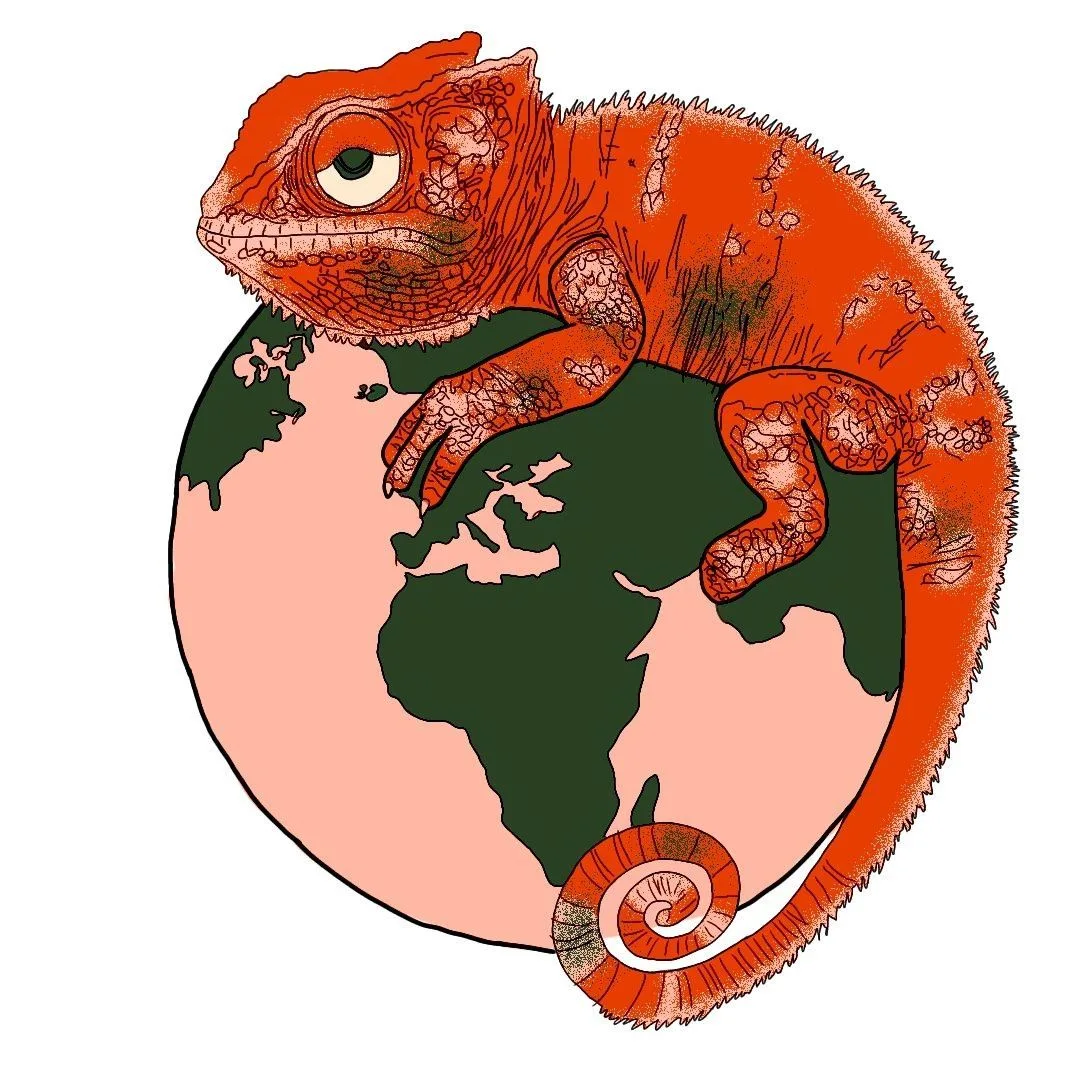 Институт международных образовательных программ