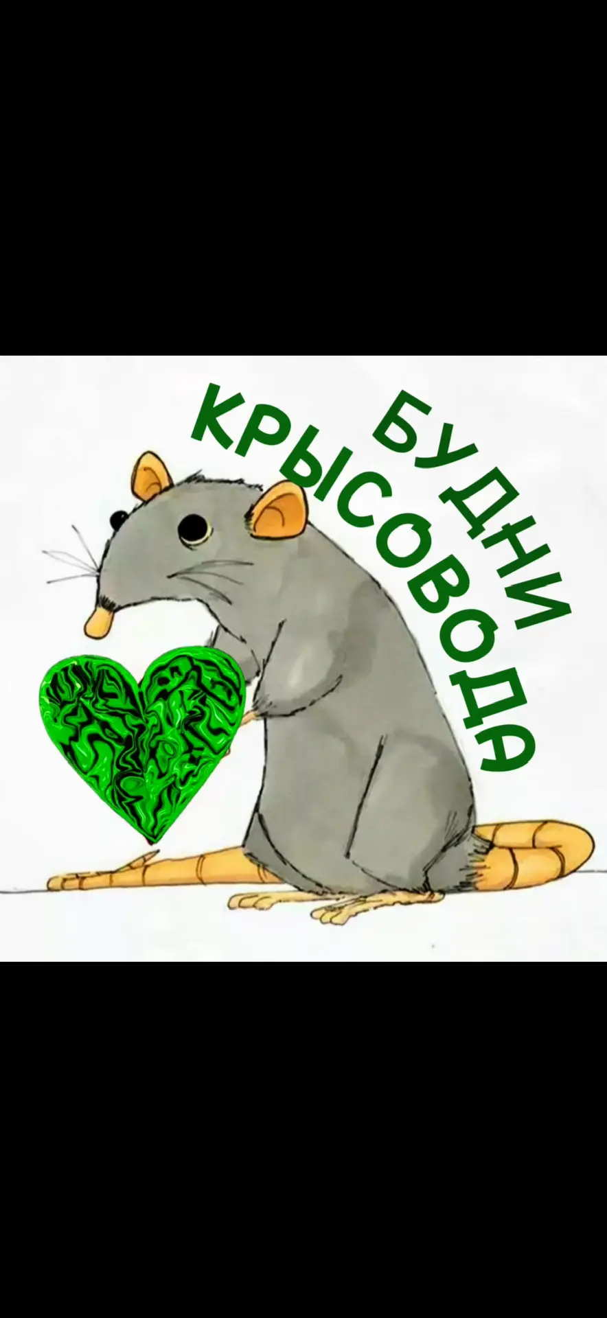БУДНИ КРЫСОВОДА