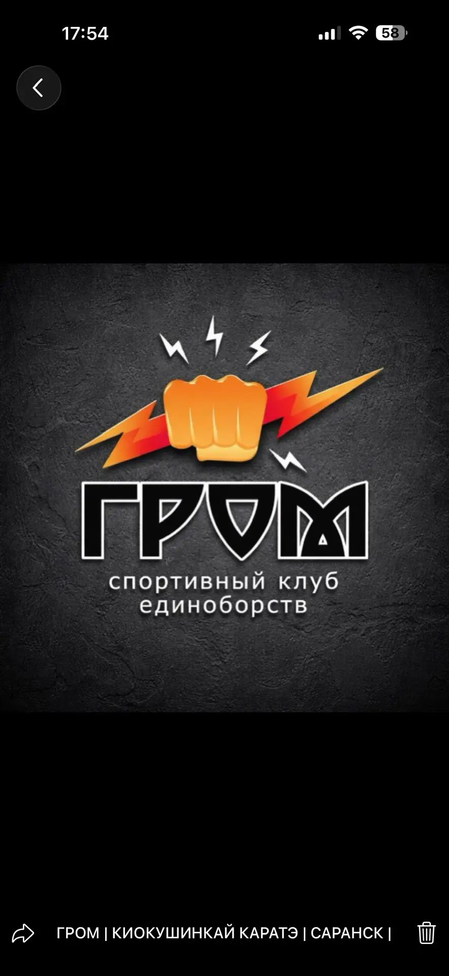 ГРОМ⚡️КИОКУШИНКАЙ КАРАТЭ | НОВОСТИ — канал в мессенджере MAX