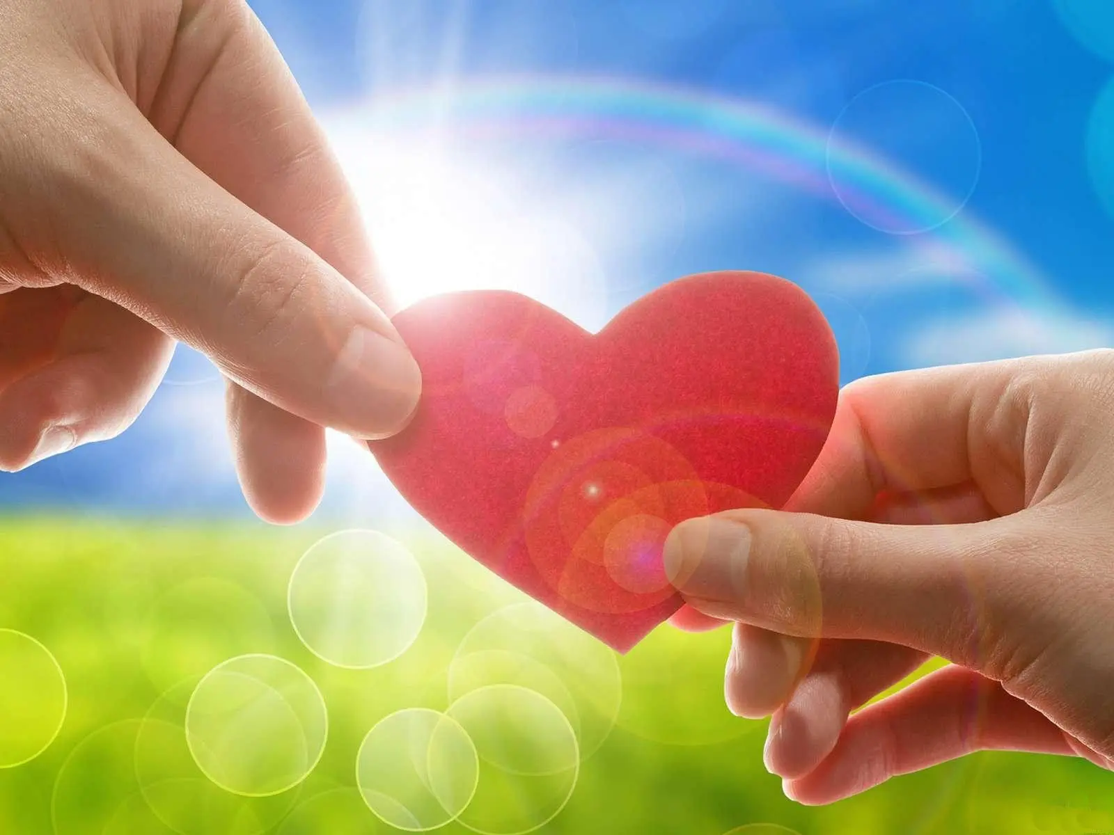 СПб ГБУ Центр содействия семейному воспитанию №8