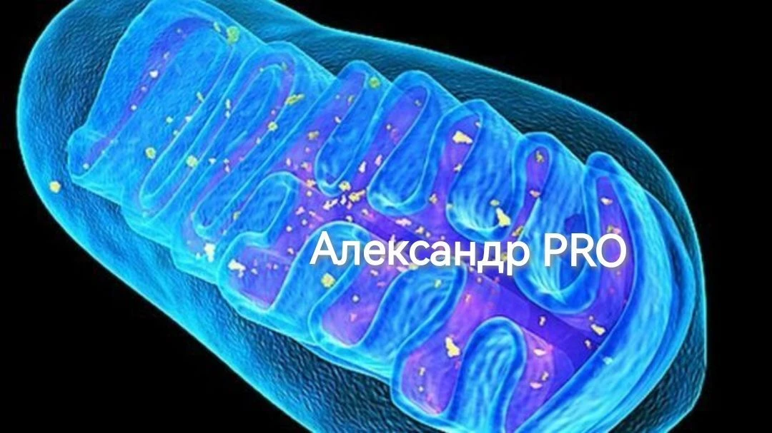 Александр PRO — канал в мессенджере MAX