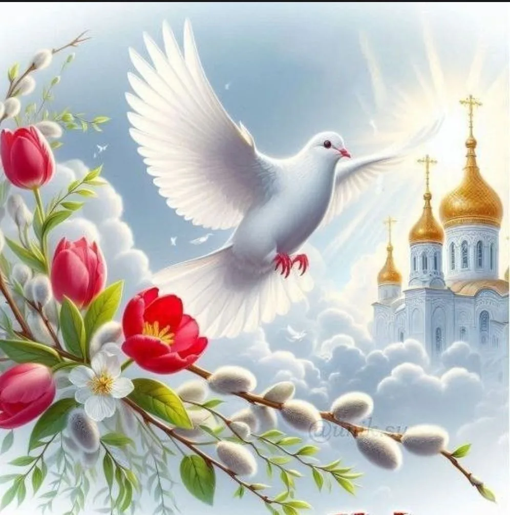 Открытки от Души 🪽