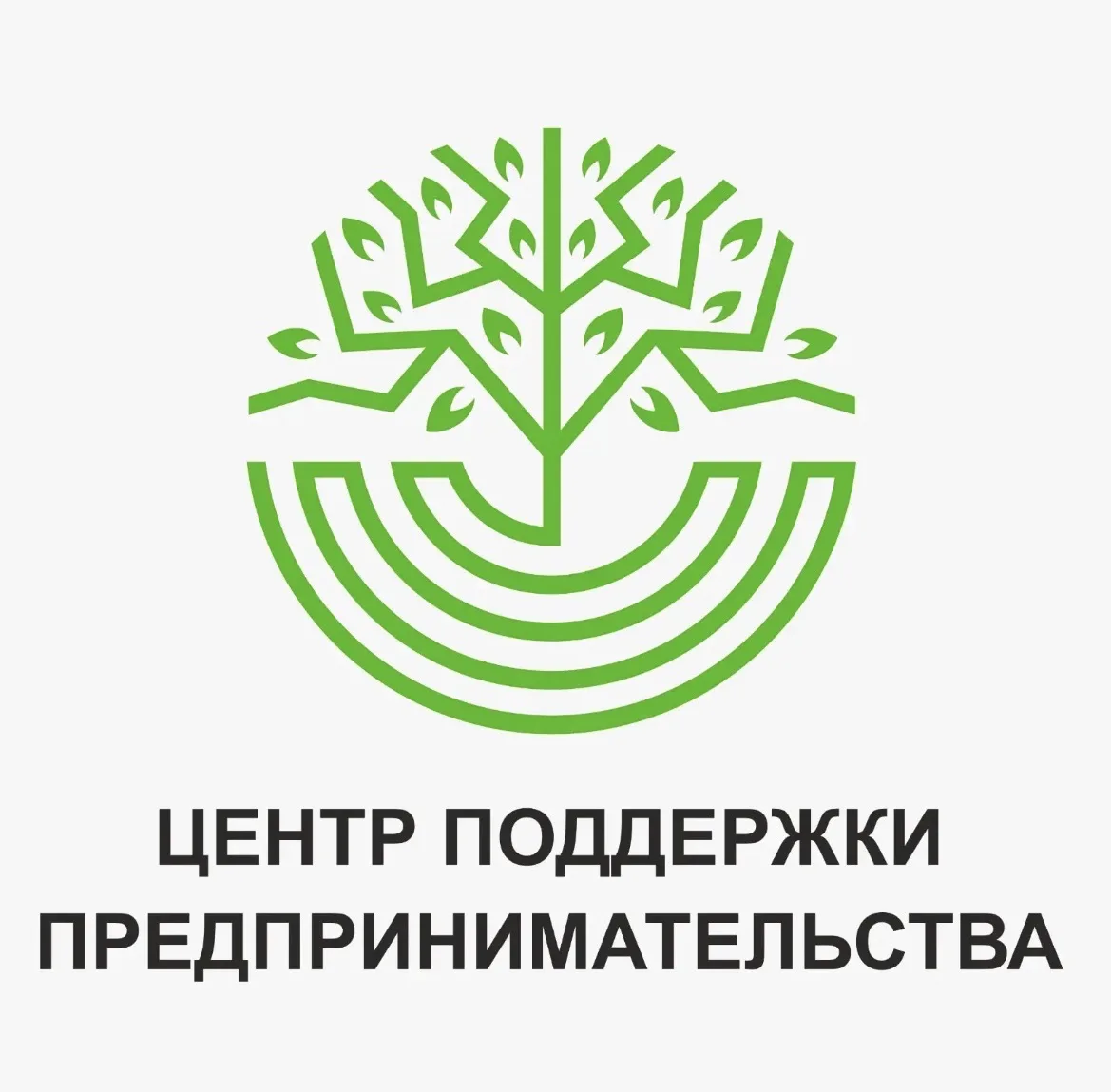 МАУ "Центр поддержки предпринимательства" Новороссийск — канал в мессенджере MAX