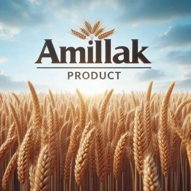 ООО "Амиллак Продукт" — канал в мессенджере MAX