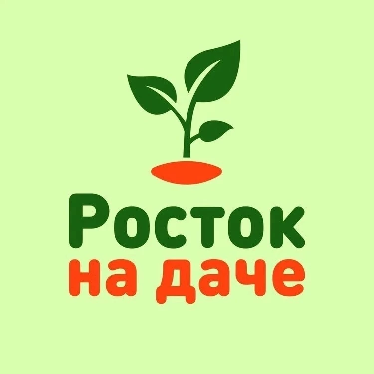 РОСТОК НА ДАЧЕ