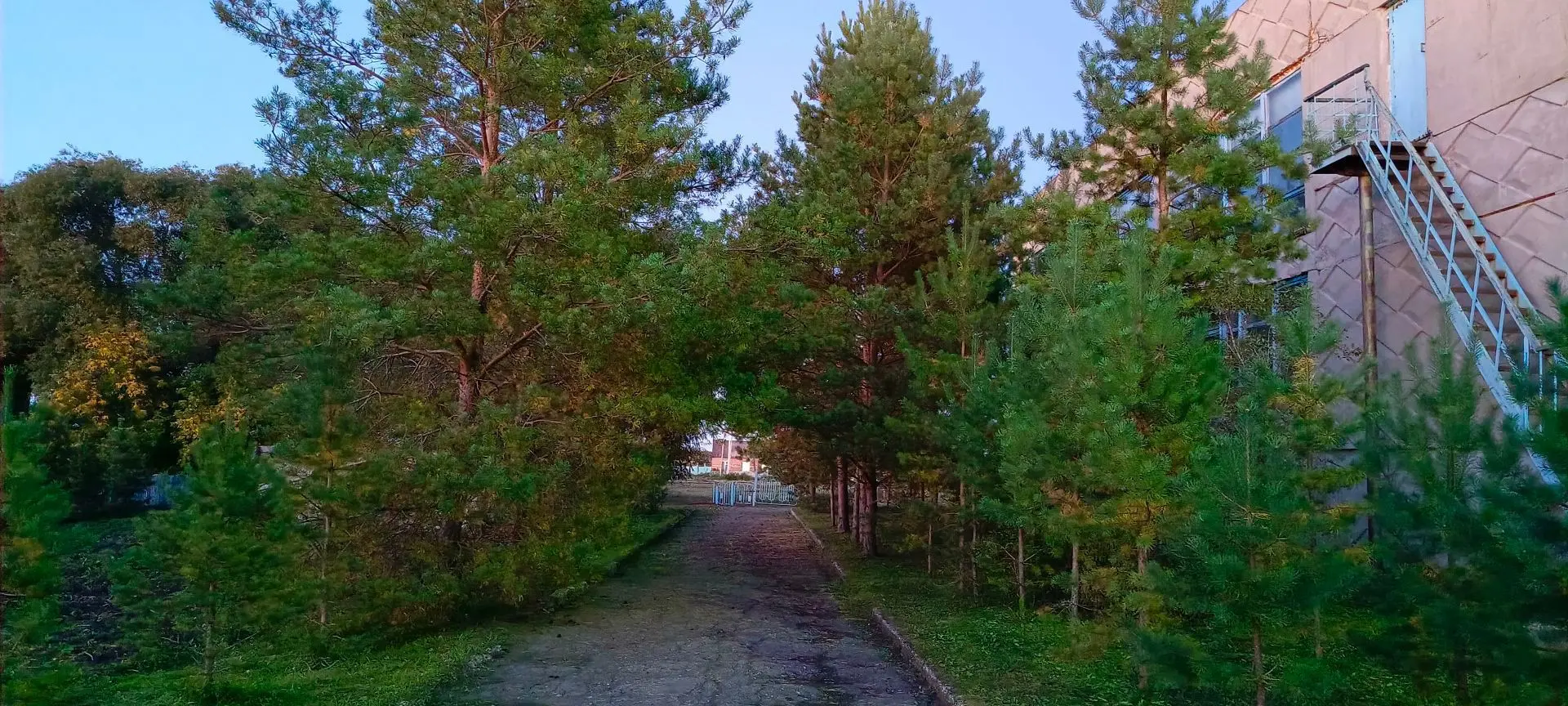 МБОУ "Утинская СОШ" Называевского района Омской области