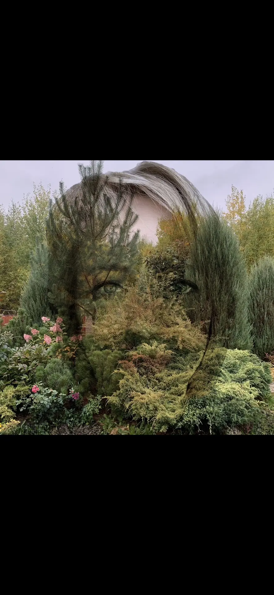 Ландшафтный эзотерик