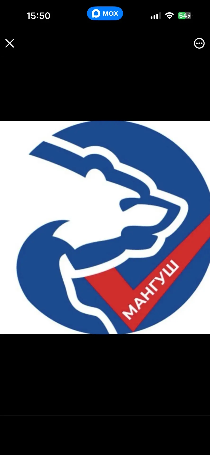 ЕДИНАЯ РОССИЯ | Мангуш — канал в мессенджере MAX