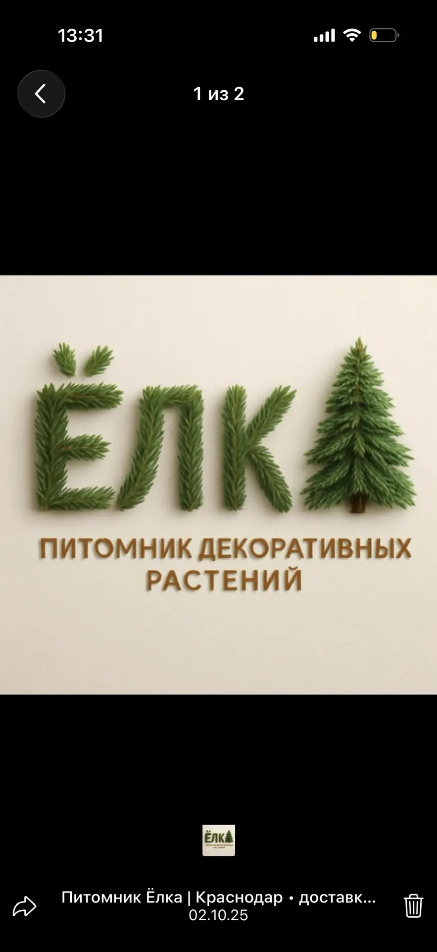 Питомник Ёлка | Краснодар • доставка РФ