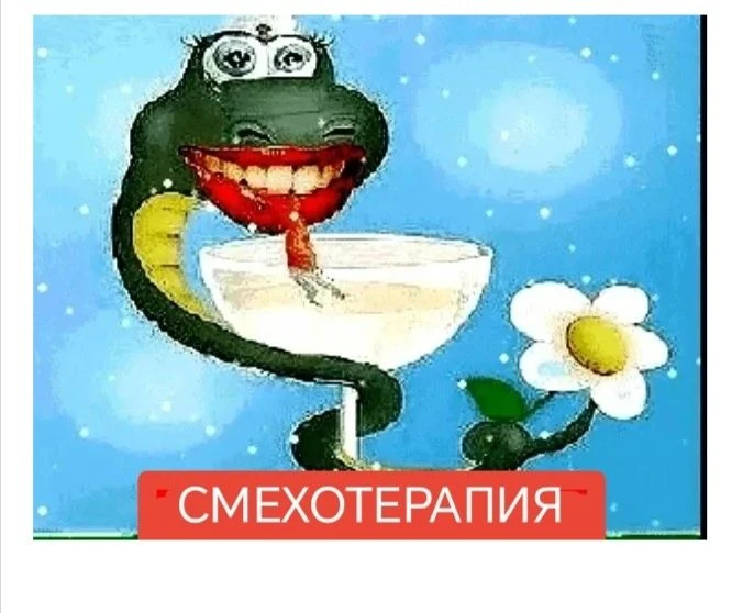😂Смехотерапия😂-смешные видео приколы юмор анекдоты — канал в мессенджере MAX