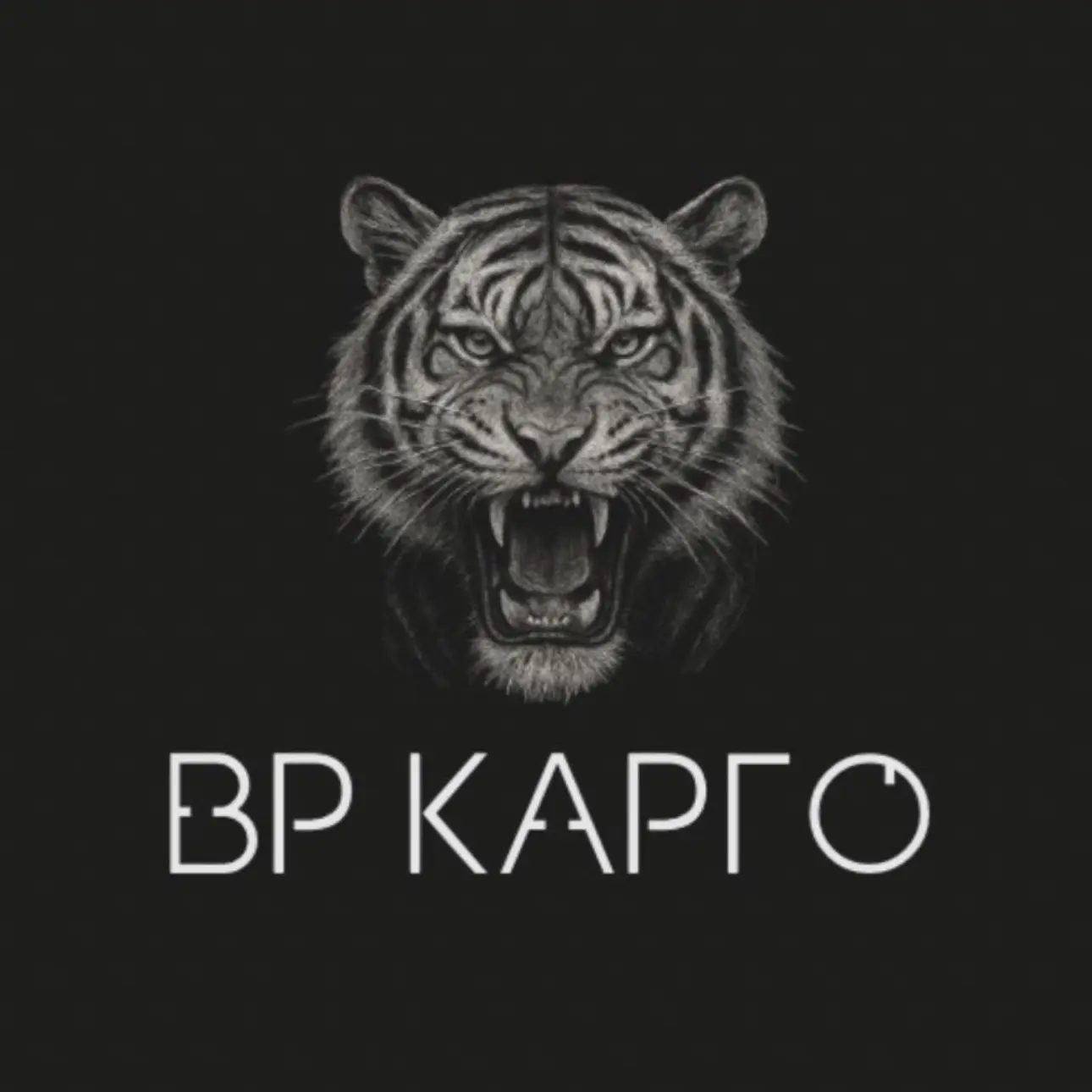 ВР КАРГО | сервис доставки товаров из Китая
