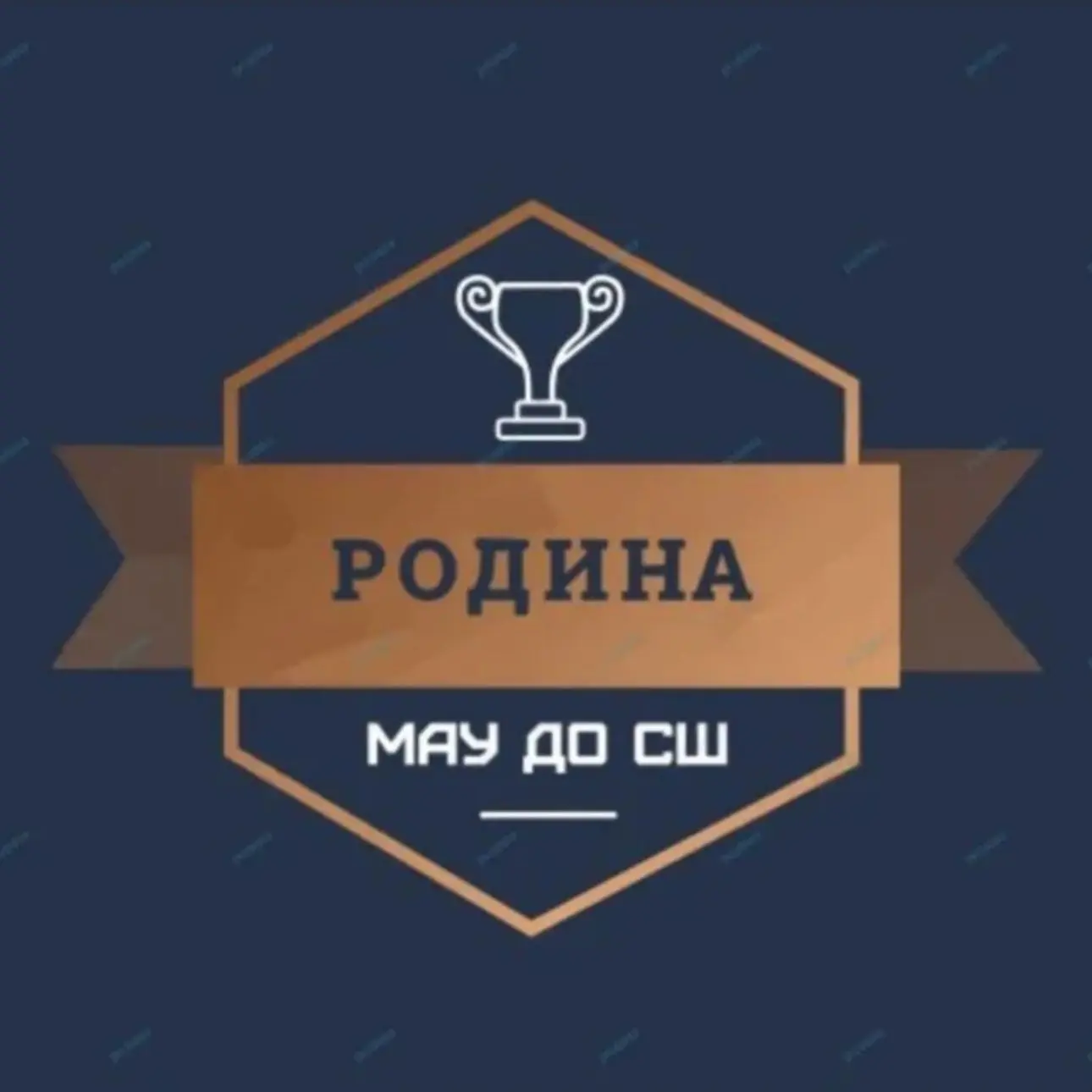 🏆⚽️🏀🏐🎾СОРЕВНОВАНИЯ: МАУ ДО СШ «Родина» — канал в мессенджере MAX