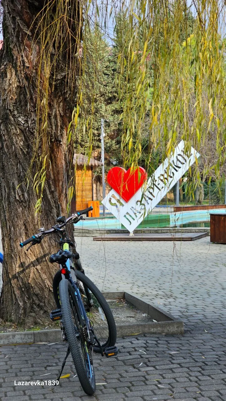 Это Лазаревское, детка! 🌴