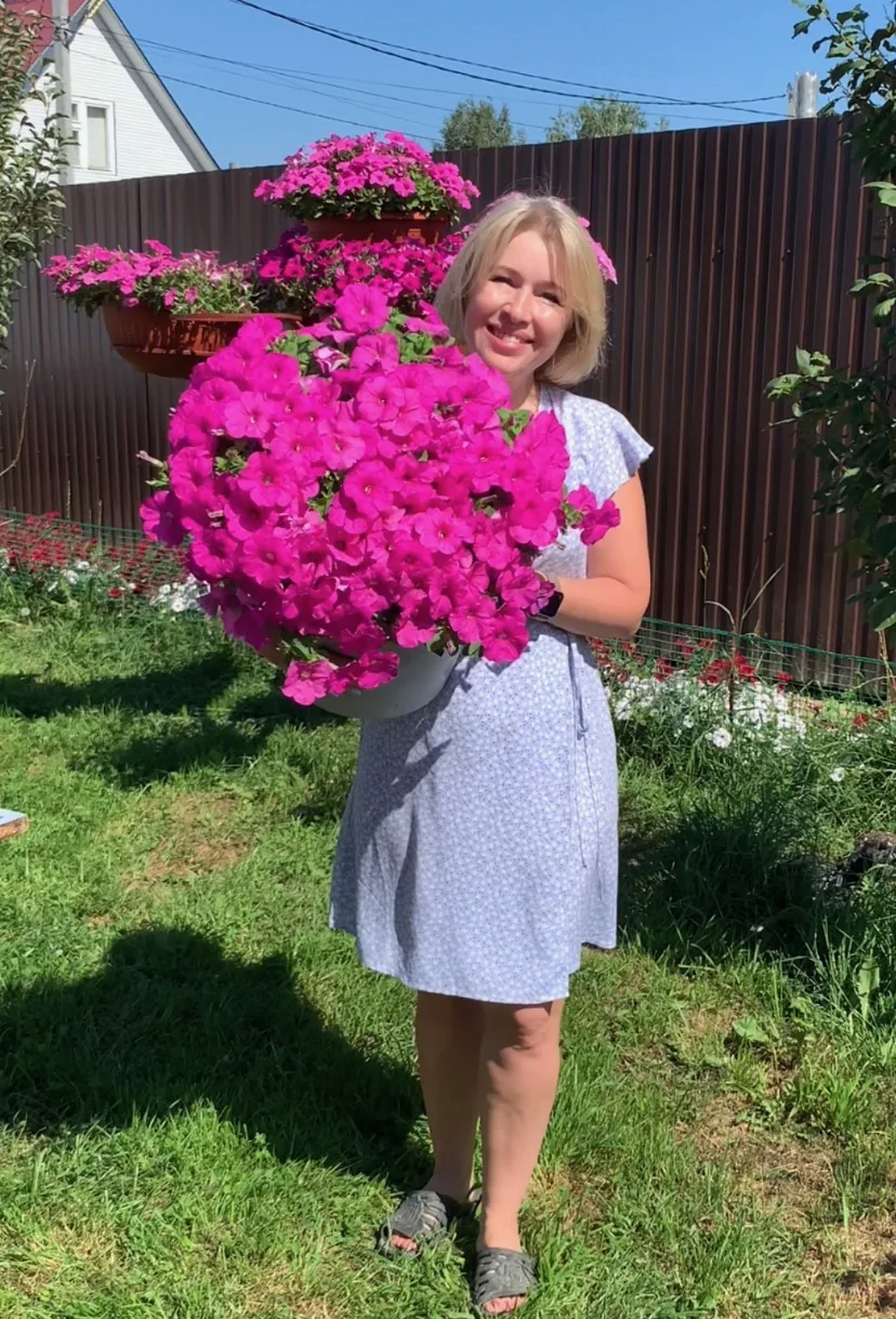 Петунии Сама Могу