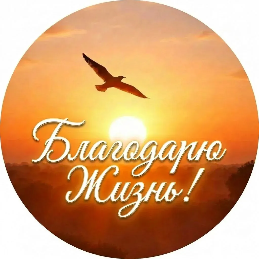 Благодарю Жизнь! — канал в мессенджере MAX