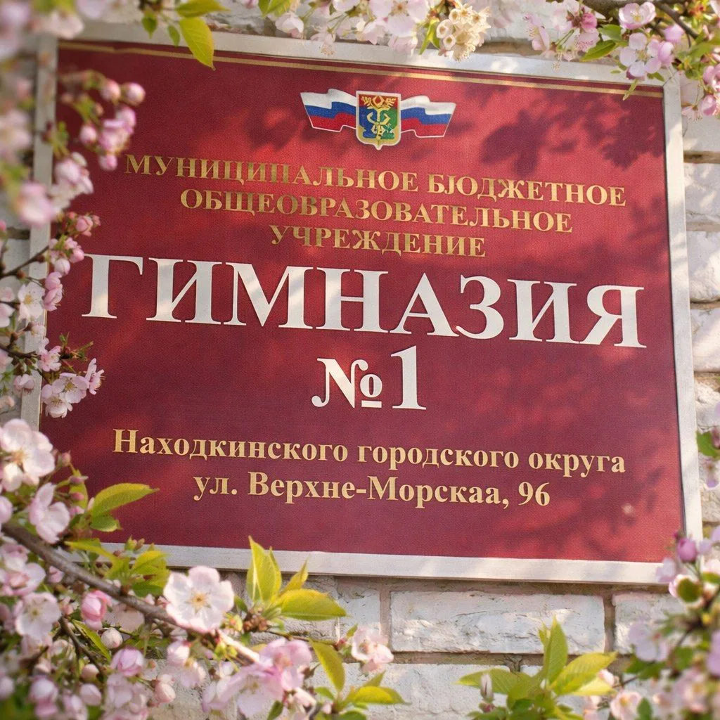 МАОУ "Гимназия 1" НГО