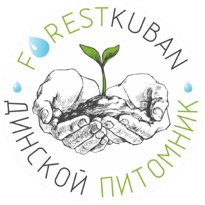САЖЕНЦЫ @FORESTKUBAN из Динской питомник декоративных растений в Краснодарском крае — канал в мессенджере MAX
