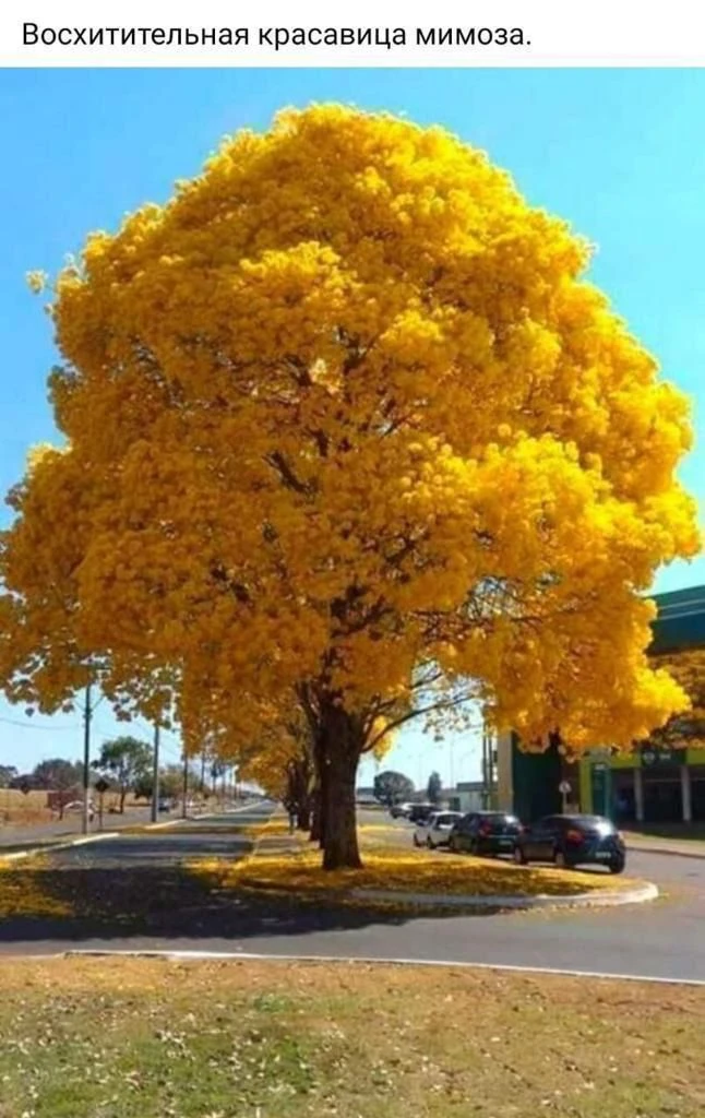 МБДОУ детский сад №8 "Колосок" станицы Андрюки