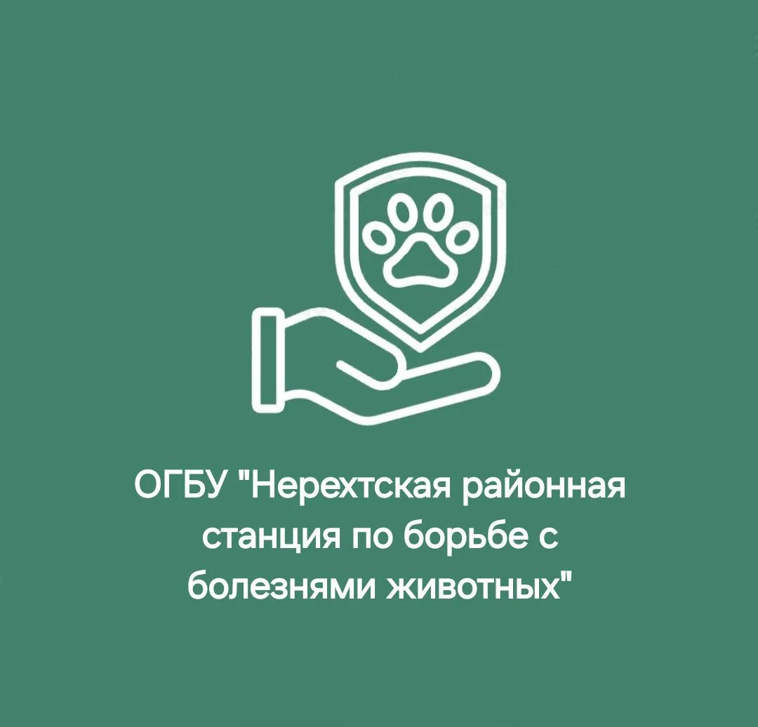 ОГБУ"НЕРЕХТСКАЯ РАЙ СББЖ,"