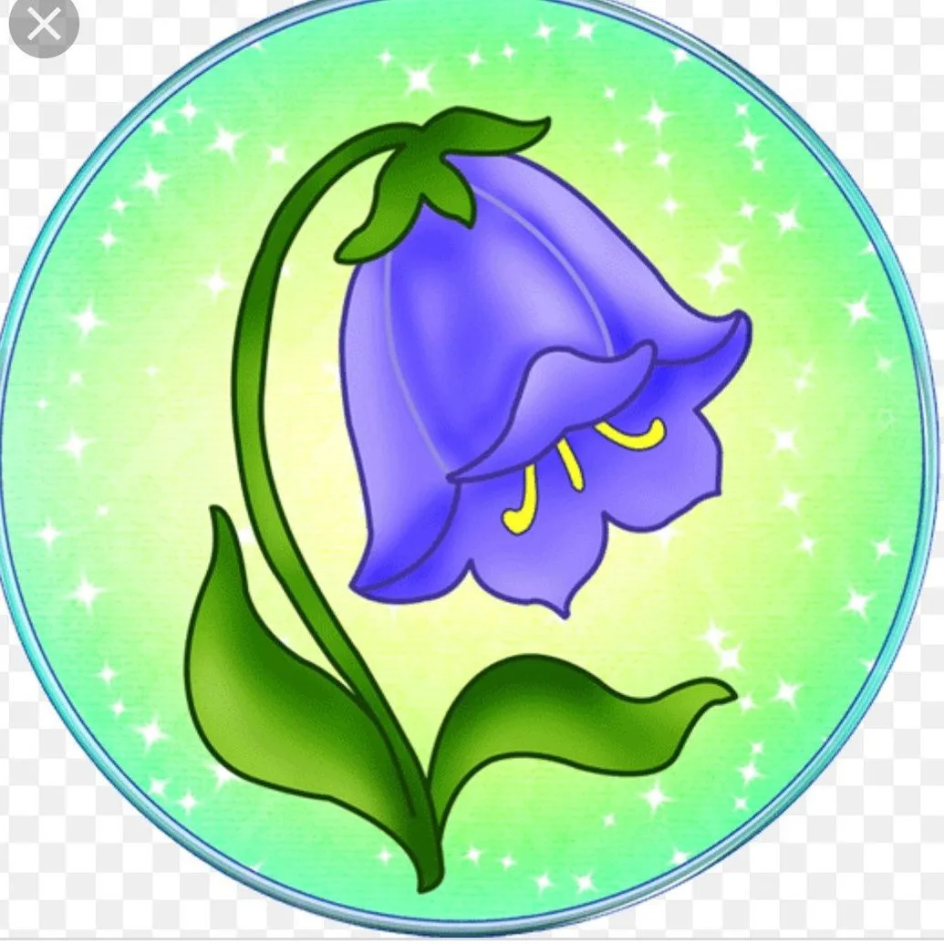 МБДОУ детский сад №13 "Колокольчик" Каменского района