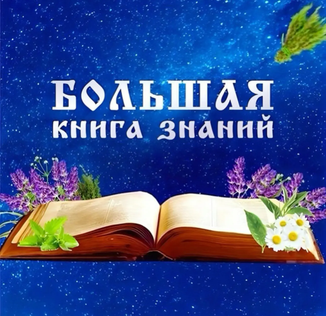 Большая книга знаний📚