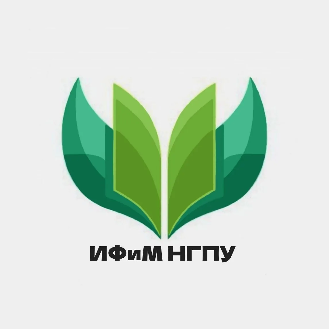 ИФиМ НГПУ — канал в мессенджере MAX