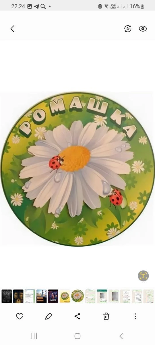 Муниципальное бюджетное дошкольное образовательное учреждение "Детский сад 121 "Ромашка"