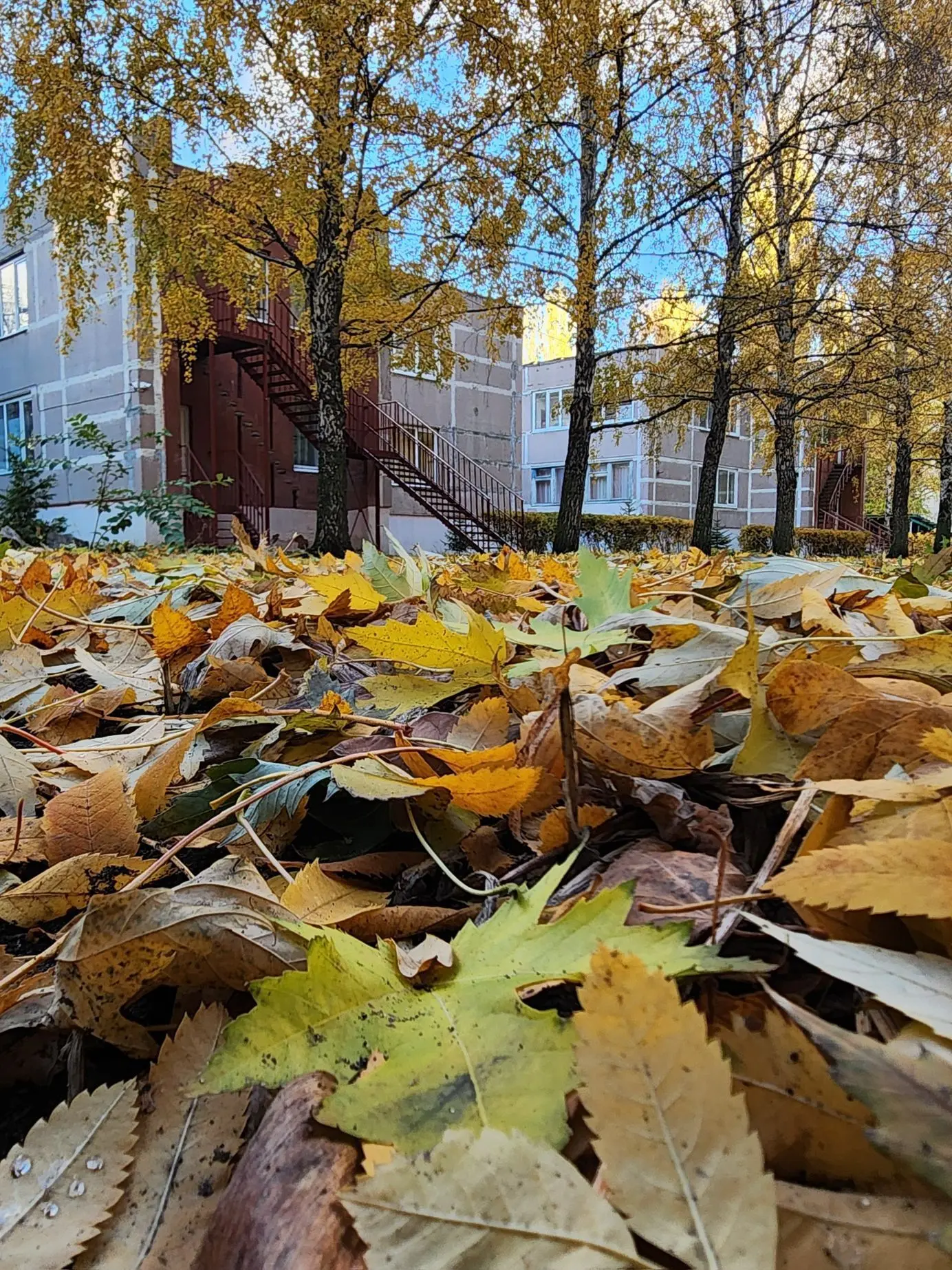 МБДОУ "Детский сад общеразвивающего вида #144"