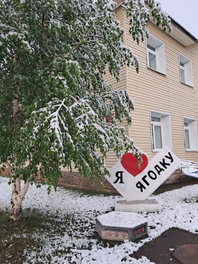 МБДОУ детский сад № 12 "Ягодка"