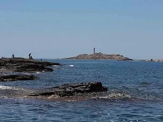 Жизни книжный переплёт