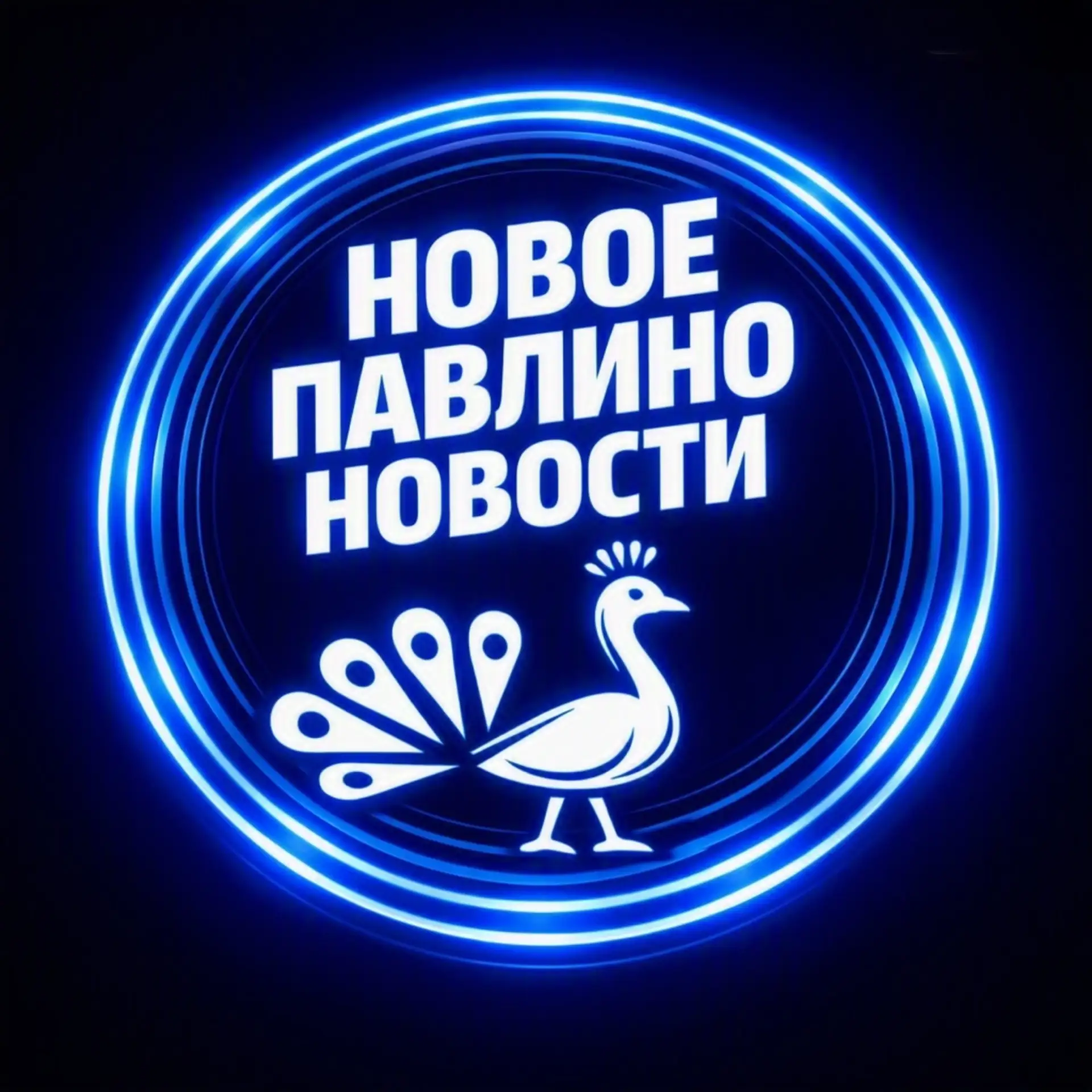 НОВОЕ ПАВЛИНО БАЛАШИХА | ЖК НОВОГРАД ПАВЛИНО — канал в мессенджере MAX