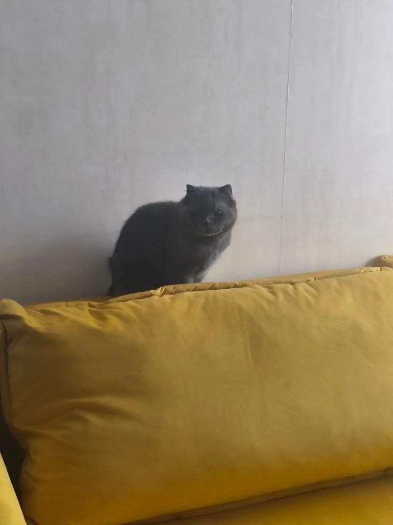 Своё о ни о чем