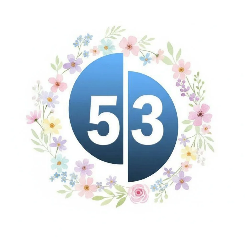 53 Новости (Великий Новгород)