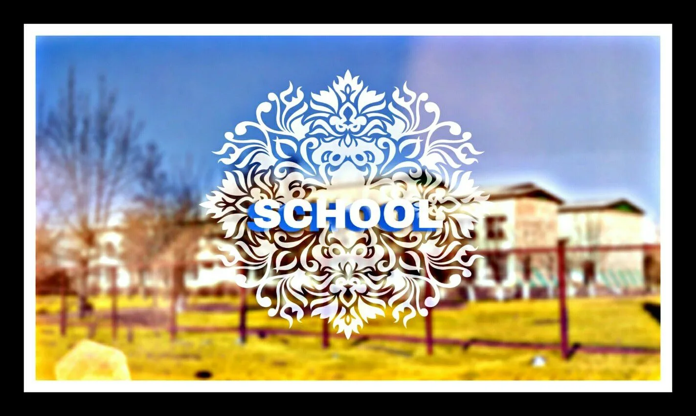 МОУ СОШ с. Шишкино🏫