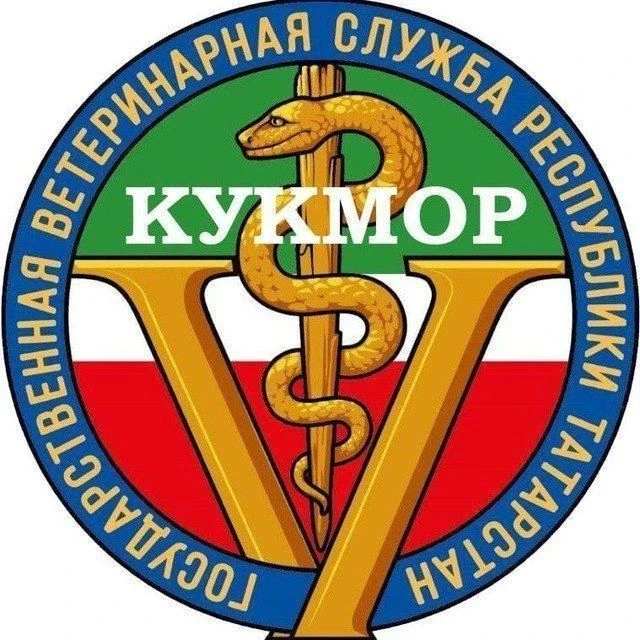 ГБУ "Кукморское РГВО" — канал в мессенджере MAX