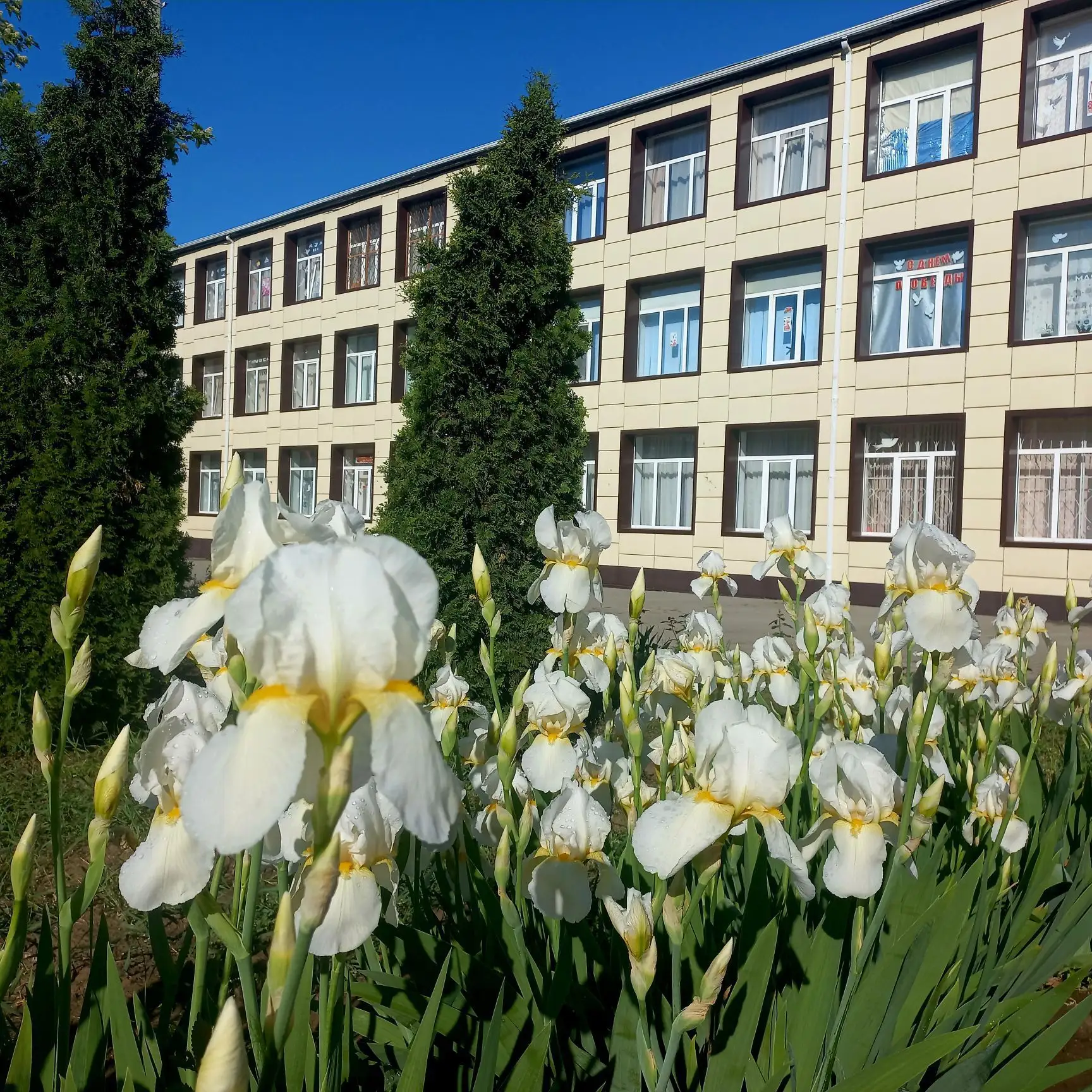 МБОУ СОШ 61 им. П. Е. Ладана