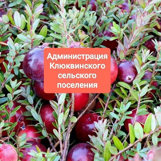 Администрация Клюквинского сельского поселения